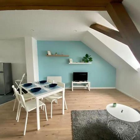 Studio Cosy Comme A La Maison Mulhouse Buitenkant foto