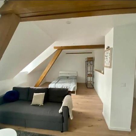 Studio Cosy Comme A La Maison Mulhouse Buitenkant foto